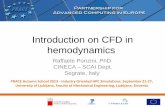Introduction on CFD in hemodynamics