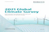 2021 Global Climate Survey