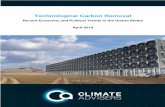 Carbon Removal Final - Climate Advisers
