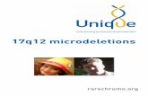 17q12 microdeletions - Unique