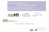 Small Districts, Big Challenges - Cities and Schools