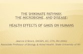 The Shikimate pathway, gut flora, and disease: why GMOs ...