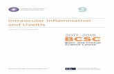 Intraocular Inflammation and Uveitis