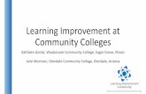 Learning Improvement at Community Colleges