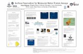Surface Passivation for Molecular Motor Protein Assays