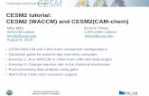 CESM2 tutorial: CESM2 (WACCM) and CESM2(CAM-chem)