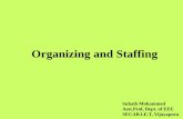 Organizing and Staffing - hrms.secab.org