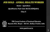 JOB ROLE ANIMAL HEALTH WORKER