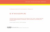 Ethiopia leather evaluation final 130208