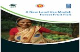 A New Land Use Model: Forest Fruit Fish - UNDP