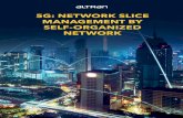 5G: NETWORK SLICE MANAGEMENT BY SELF-ORGANIZED …