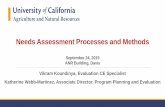 Needs Assessment Processes and Methods