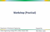 Workshop (Practical)