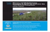 WETLANDS Mercury and Methylmercury SCIENCE Processes in ...