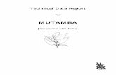MUTAMBA - Rain-Tree