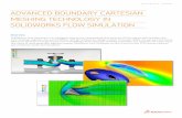 Advanced Boundary Cartesian Meshing Technology In ...
