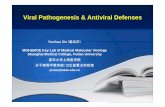 Viral Pathogenesis & Antiviral DefensesViral Pathogenesis ...