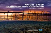 NATURE-BASED TRANSFORMATIVE ADAPTATION