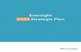 Eversight 2023 Strategic Plan