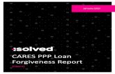 CARES PPP Loan Forgiveness Report