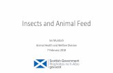 Insects and Animal Feed - Zero Waste Scotland