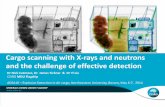 X and neutrons detection - Northeastern University
