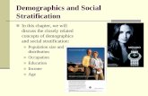 Demographics and Social Stratification