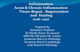 Inflammation Acute & Chronic Inflammation Tissue Repair ...