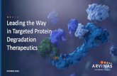 Leading the Way in Targeted Protein Degradation Therapeutics