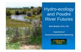 Hydro-ecology and Poudre River Futures