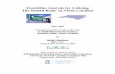 Feasibility Analysis for Utilizing The Benefit Bank in ...
