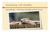 Gardening with Wildlife - Pennsylvania State University