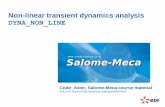 Non-linear transient dynamics analysis DYNA NON LINE