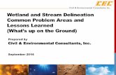 Wetland and Stream Delineation Common Problem Areas and ...