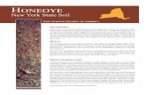 Honeoye - Home | Soils 4 Teachers