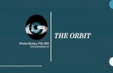 Orbit & Lacrimal Apparatus