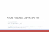 Natural Resources, Learning and Risk