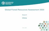 Global Forest Resources Assessment (FRA) 2020 China - Report