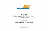 PNM Energy Efficiency Program 2013 Annual Report