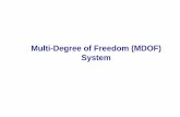Multi-Degree of Freedom (MDOF) System