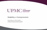 Stability v Compression - APMA