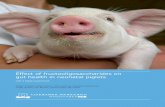 Effect of fructooligosaccharides on gut health in neonatal ...