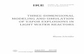 Three-dimensional modeling and simulation of vapor ...