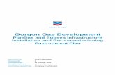 Gorgon Gas Development