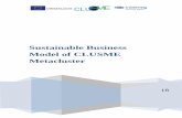Sustainable Business Model of CLUSME Metacluster