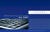 Monitoring Secrets for SAP - Argent
