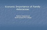 Economic Importance of Family Asteraceae