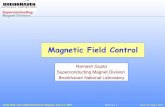 Magnetic Field Control - BNL