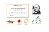 M or invileC muty High School Unit 5b: Classical Genetics ...