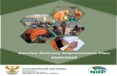 Service Delivery Improvement Plan 2020/2025